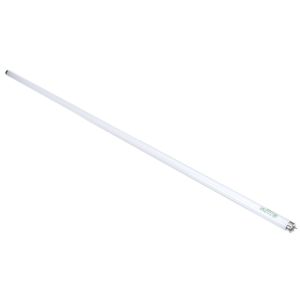 Beverage Air 503-230B-02 LAMP - PHILLIPS 32W F32T8