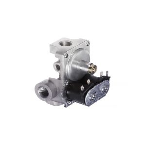 GAS VALVE 24V DUAL SOLENOID