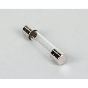 FUSE AGC-10 250VAC