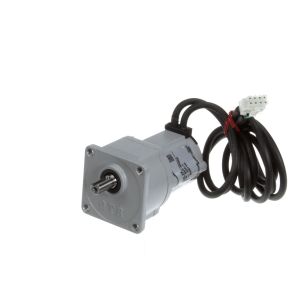 CONVEYOR DRIVE MOTOR
