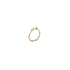 Antunes 3000123 Retaining Ring