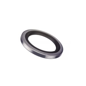 LIP SEAL
