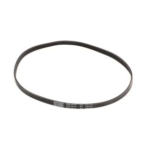 Stoelting 152286 BELT POLY V 38IN LONG